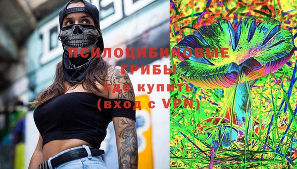 Альфа ПВП Ельня