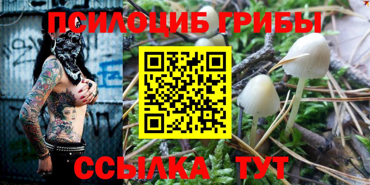 Галлюциногенные грибы Psilocybe Пыть-Ях