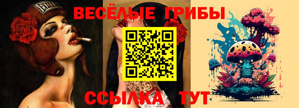 купить  цена  Вход с VPN  Пыть-Ях  Псилоцибиновые грибы мицелий 